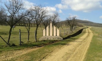 teren-pentru-cabana-in-paclisa